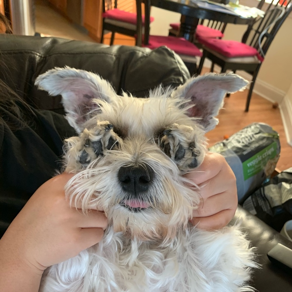 Meet your Posher, Elly